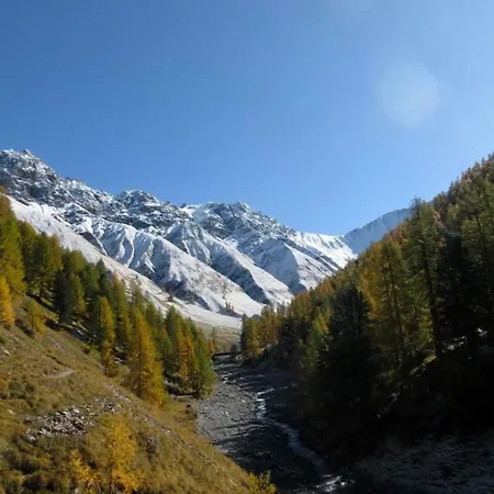 Appartement Chesa Robbi By Interhome