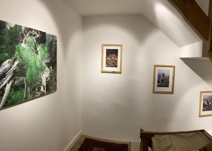 Appartement Chesa Robbi By Interhome *